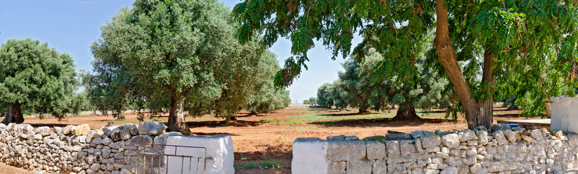 Puglia Bike Tour Banner 12