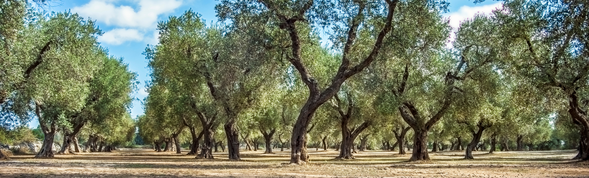 Puglia Bike Tour Banner 9